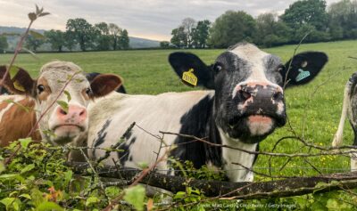 Trade tracker: UK trade deals - UK in a changing Europe